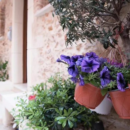 Edward Luxury דירה חאניה