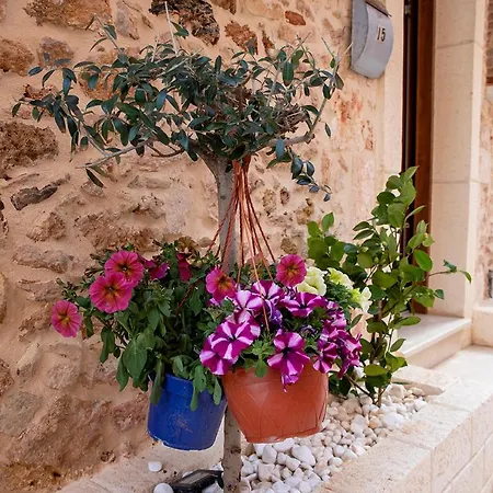 Edward Luxury Chania (Crete)