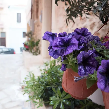 Edward Luxury Apartment