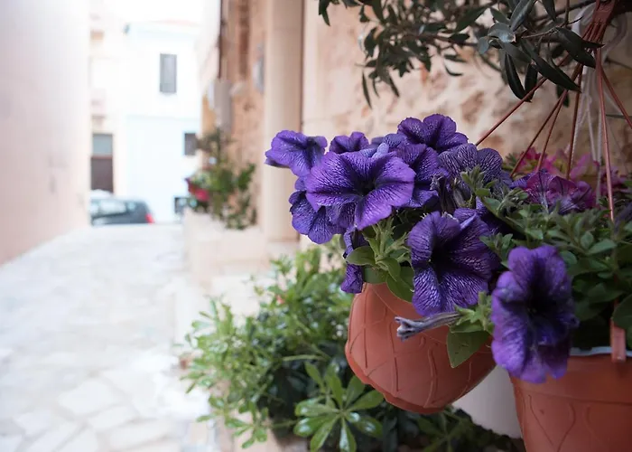 Edward Luxury Apartment