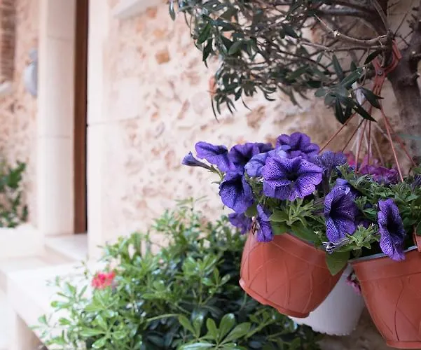 Edward Luxury Apartment Chania (Crete)